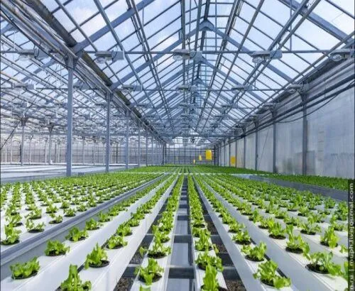 Hydroponics