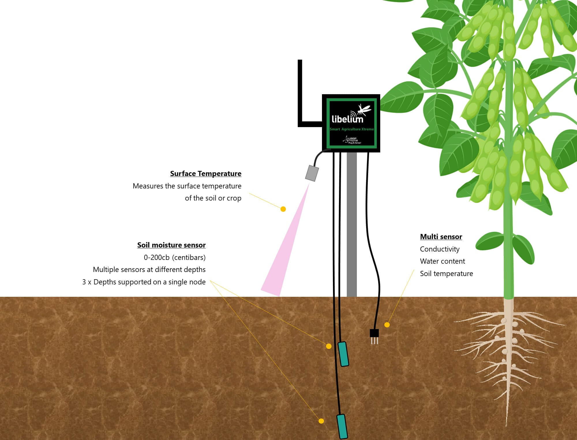 IoT Sensor