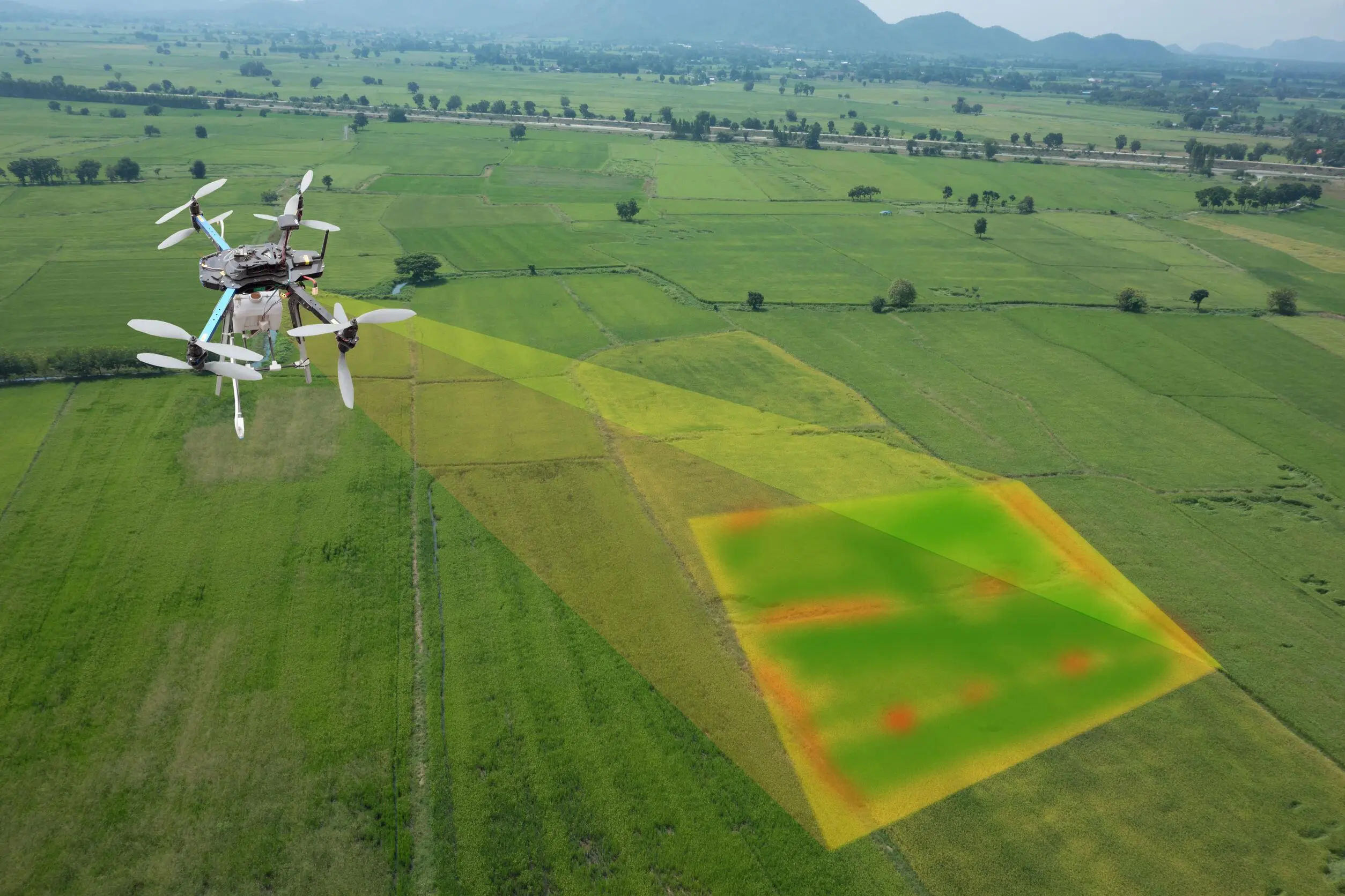 Drone